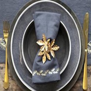 Servietter og servietringe