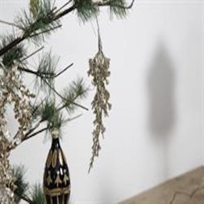 La Vida Blad til dekoration 