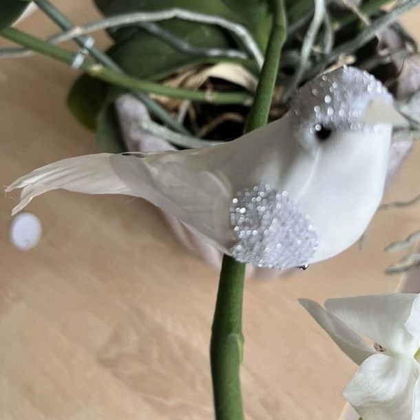 La Vida fugl med clips, hvid