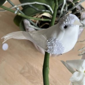 La Vida fugl med clips, hvid