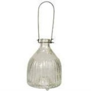 Ib Laursen Hvepsefanger