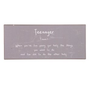 Ib Laursen Metalskilt Teenager