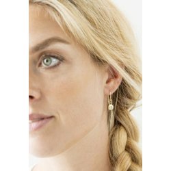 Ib Laursen reringe Lotus