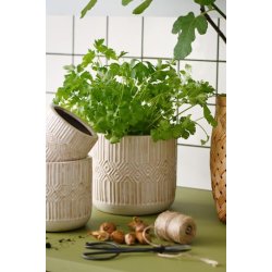 Ib Laursen Skjuler Astrid