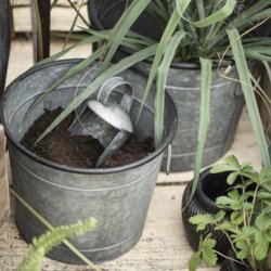 Ib Laursen Skjulerst 