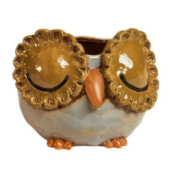 Speedtsberg Ugle Amber