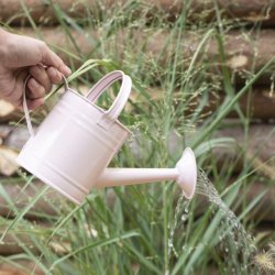 Ib Laursen Vandkande, lyserd