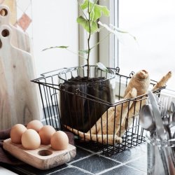 Ib Laursen ggeholder