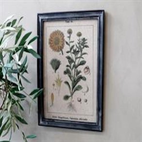 Chic Antique Billed med blomstermotiv