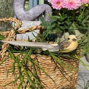 La Vida Fugl med clips