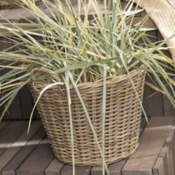 Ib Laursen kurv rattan m. plast indvendig