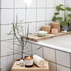 Ib Laursen loofah svamp