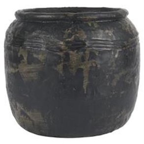 Ib Laursen Skjuler Caesar